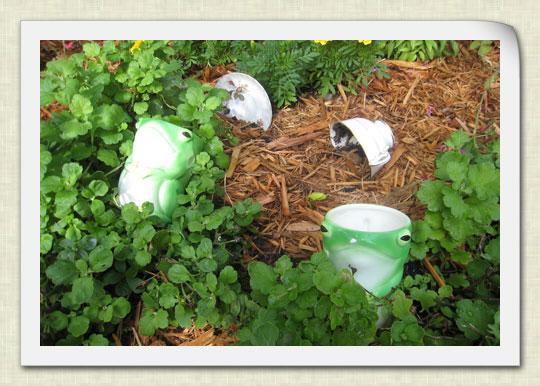 garden1-072709
