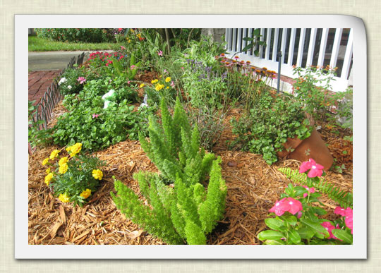 garden2-072709
