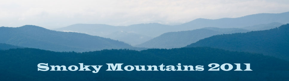 mountains2011
