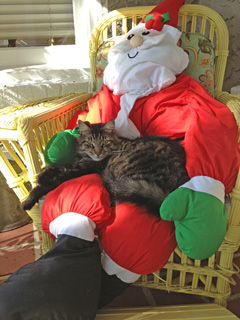 santa-on-porch