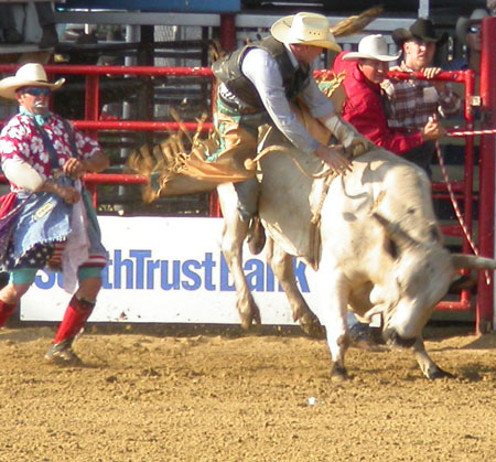 western-bucking western-bucking