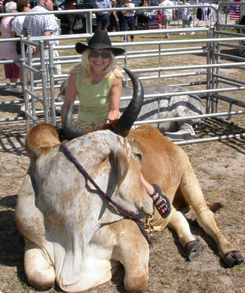 western-onbull western-onbull